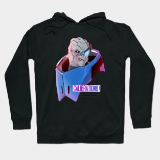 Calibrations! Hoodie